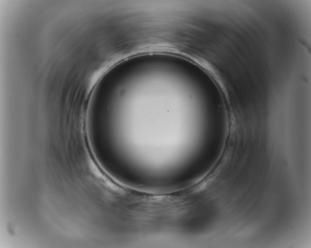 X0000100881390200806201236