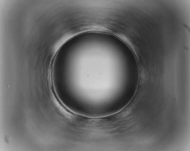 X0000100881391200806201236