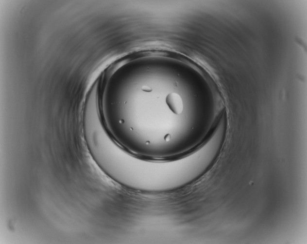 X0000100881392200806201236