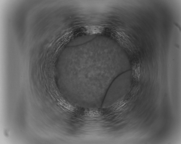 X0000100881393200806201235