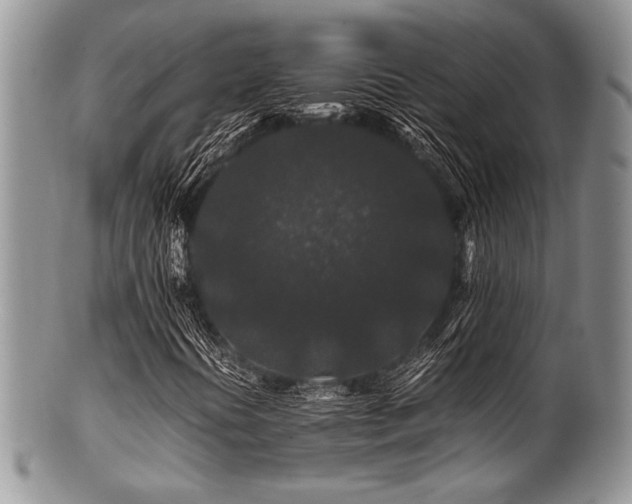X0000100881394200806201235