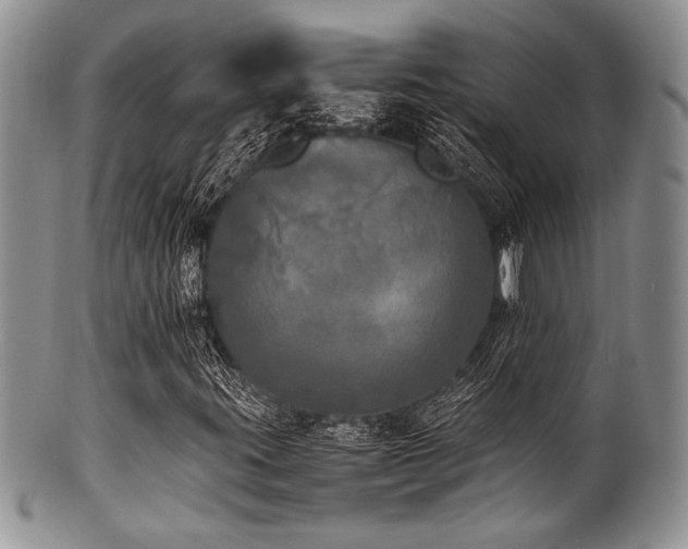 X0000100881395200806201235