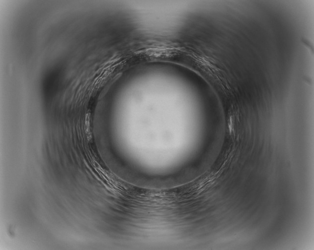 X0000100881396200806201235