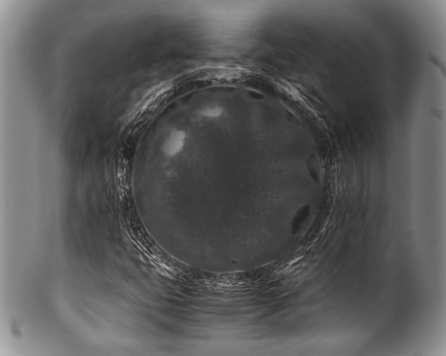 X0000100881399200806201235