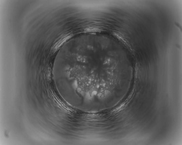 X0000100881401200806201235