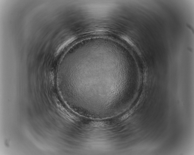 X0000100881402200806201235