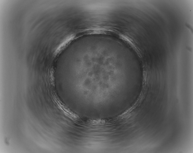 X0000100881403200806201235