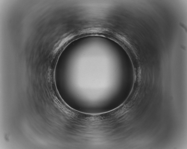 X0000100881404200806201235