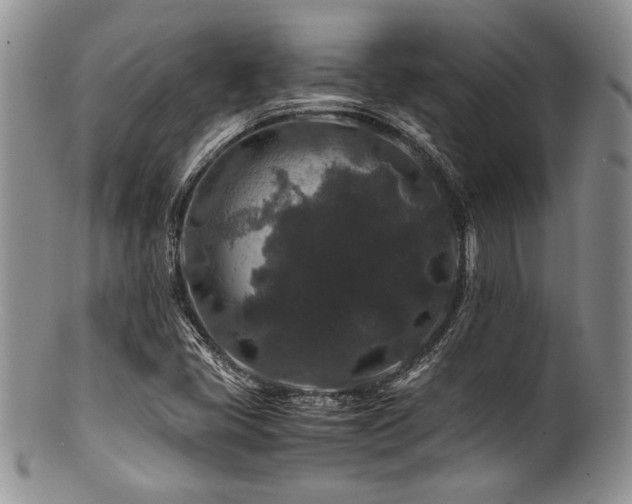 X0000100881405200806201235