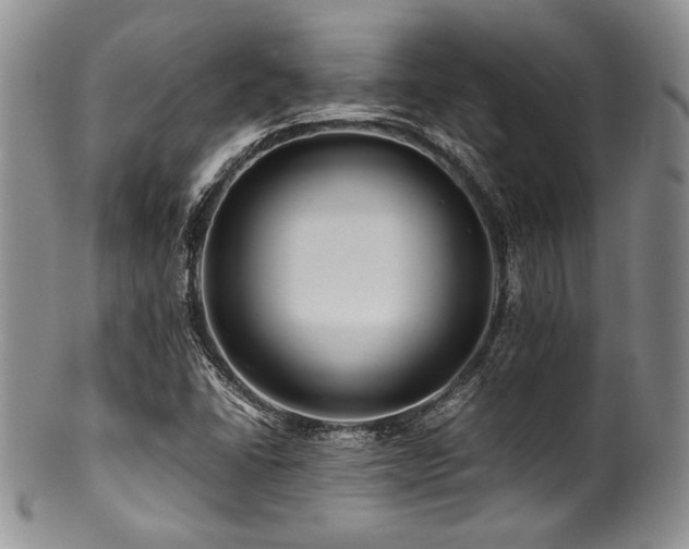 X0000100881406200806201235