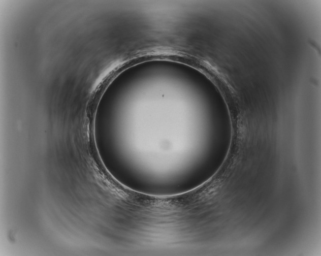 X0000100881408200806201235