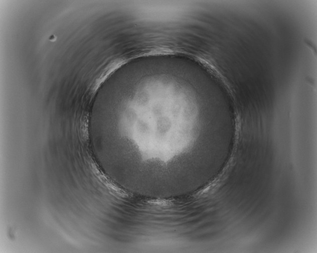 X0000100881409200806201235