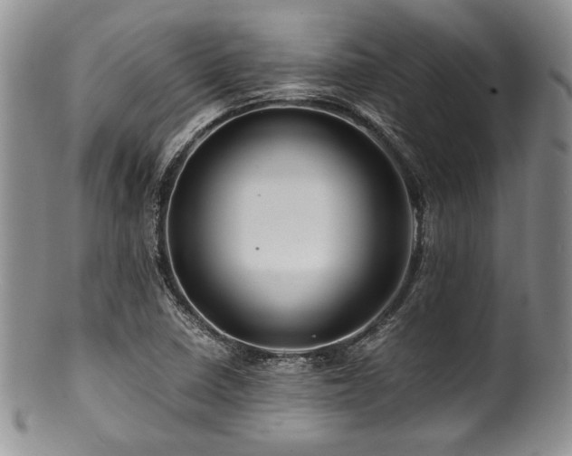 X0000100881410200806201235