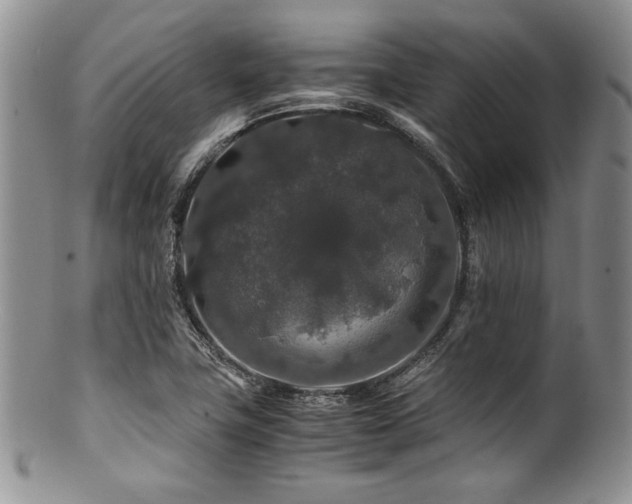 X0000100881411200806201235