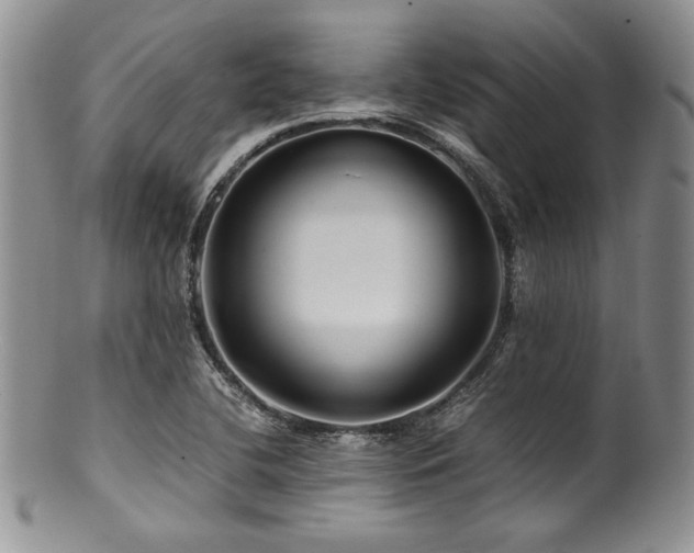 X0000100881412200806201235