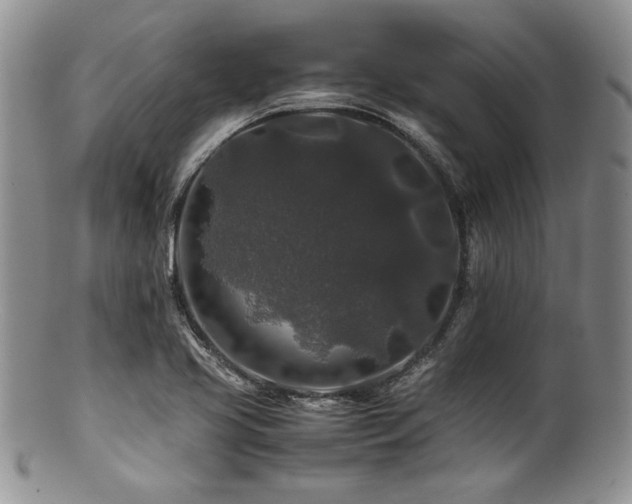 X0000100881413200806201235