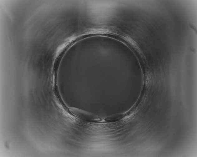 X0000100881414200806201235