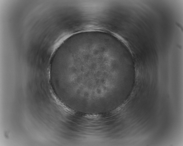 X0000100881415200806201235