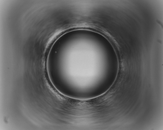 X0000100881416200806201235