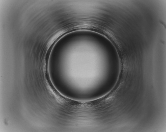 X0000100881418200806201235