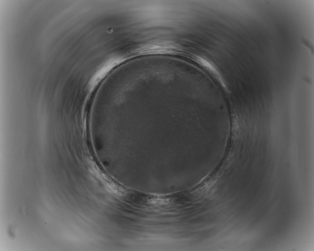 X0000100881419200806201235