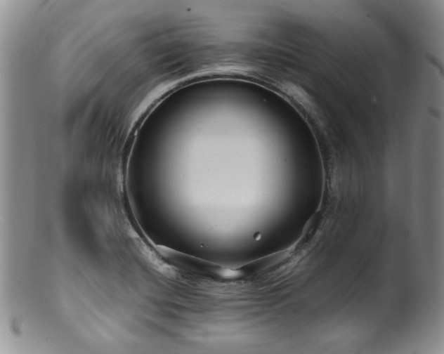 X0000100881420200806201235
