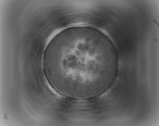 X0000100881421200806201235