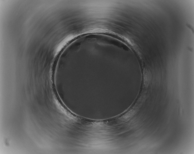X0000100881422200806201235