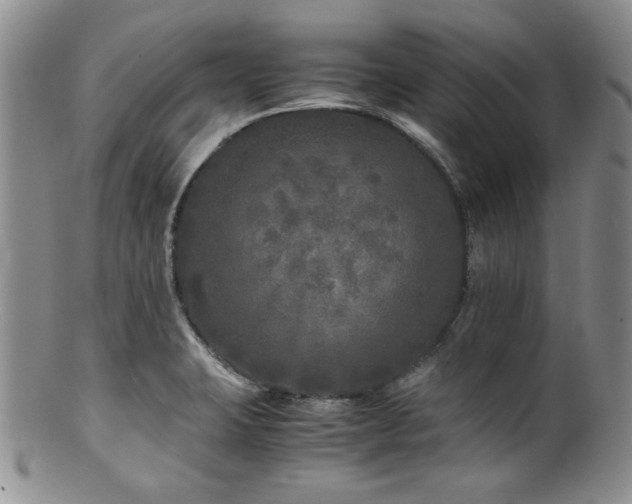 X0000100881423200806201235