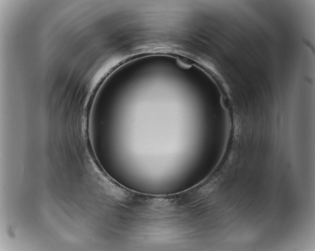 X0000100881424200806201235