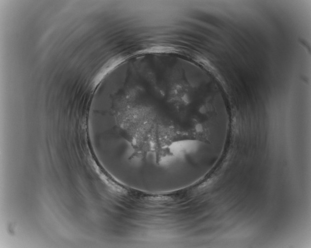 X0000100881425200806201235