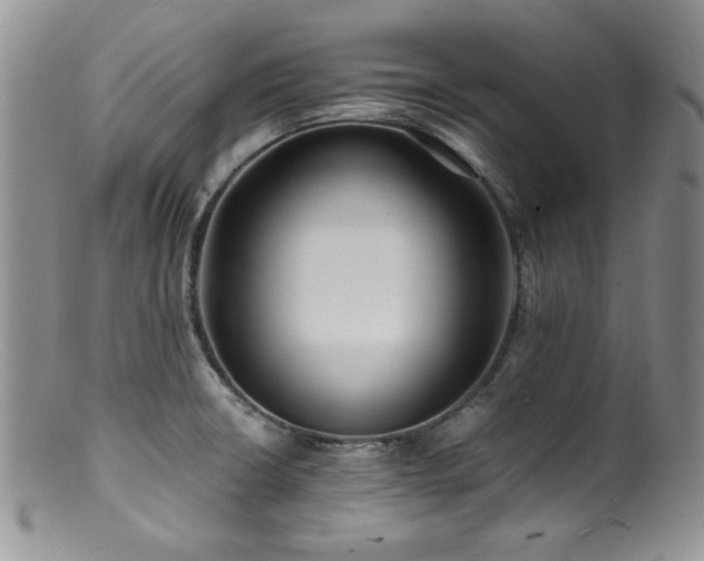 X0000100881426200806201236