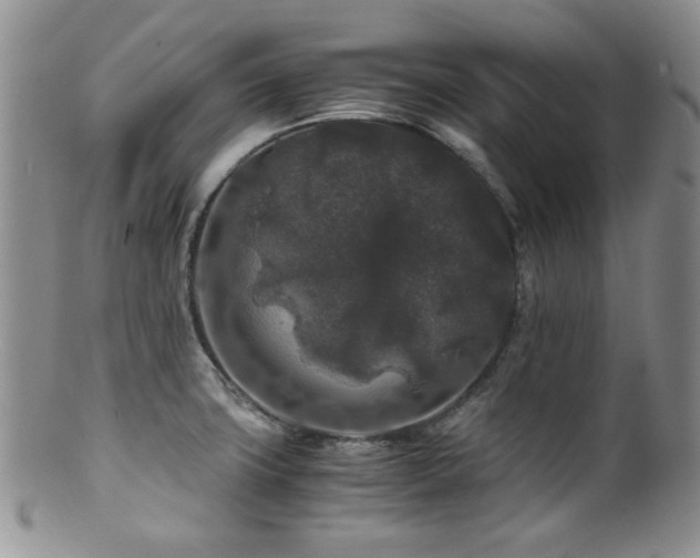 X0000100881427200806201236