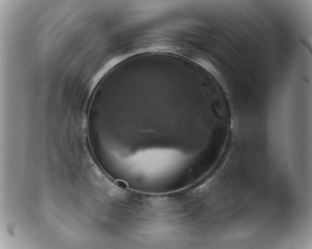 X0000100881428200806201236
