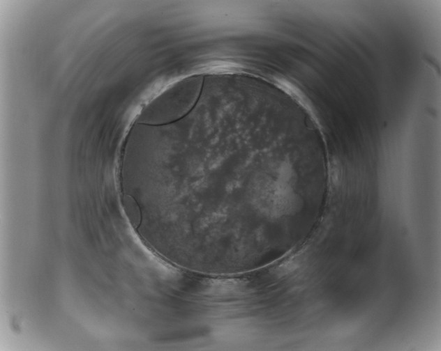 X0000100881429200806201236