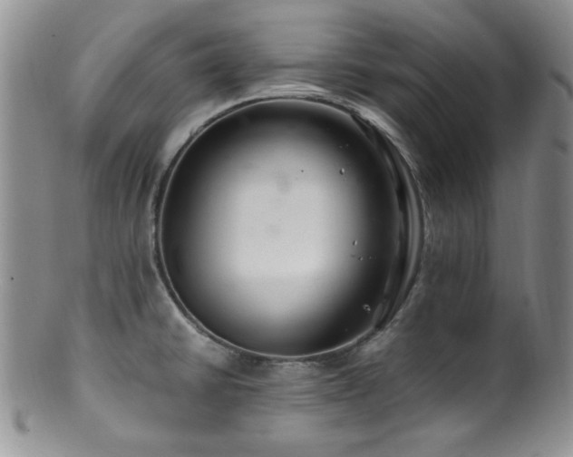 X0000100881430200806201236