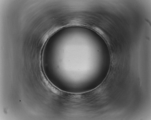 X0000100881431200806201236