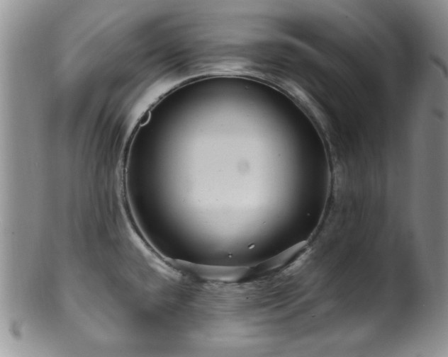 X0000100881432200806201236