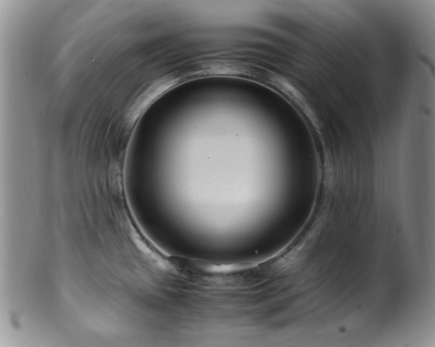 X0000100881433200806201236