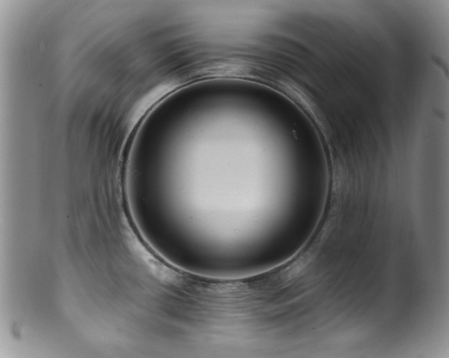 X0000100881434200806201236