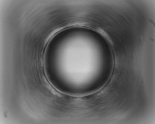 X0000100881436200806201236