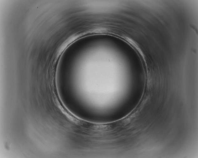 X0000100881437200806201236
