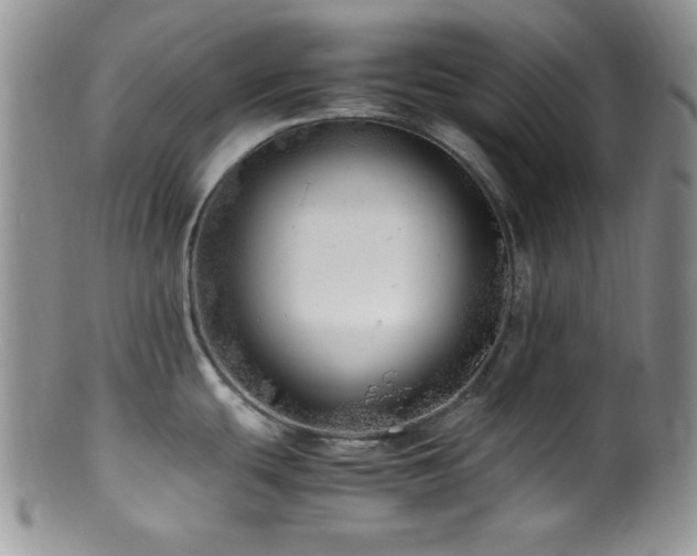 X0000100881439200806201236