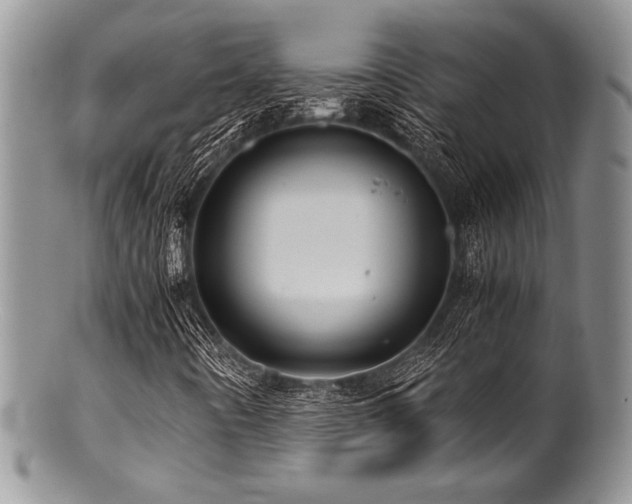 X0000100881442200806201235
