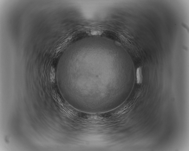 X0000100881443200806201235