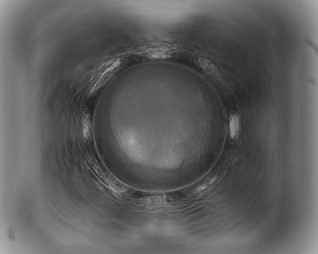 X0000100881444200806201235