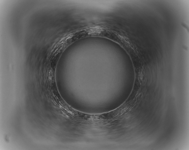 X0000100881445200806201235