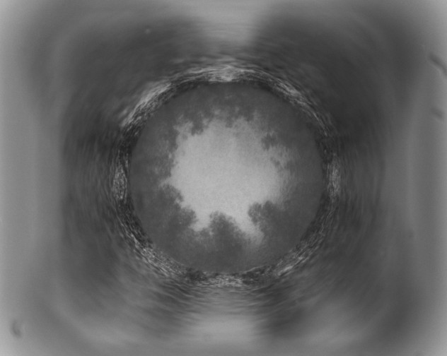 X0000100881446200806201235