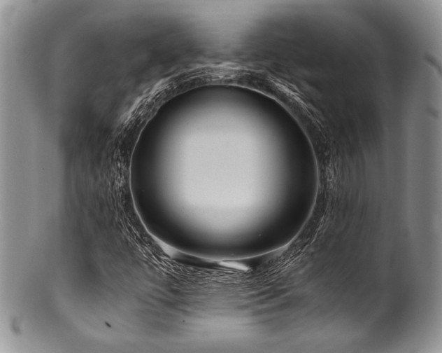 X0000100881447200806201235
