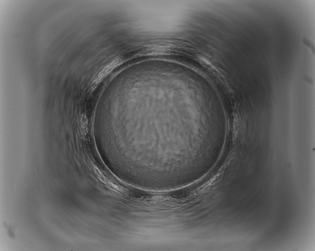 X0000100881449200806201235